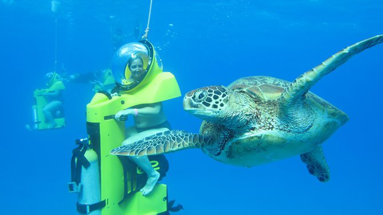 Oahu Submarine Scooter Adventure. Picture: Viator