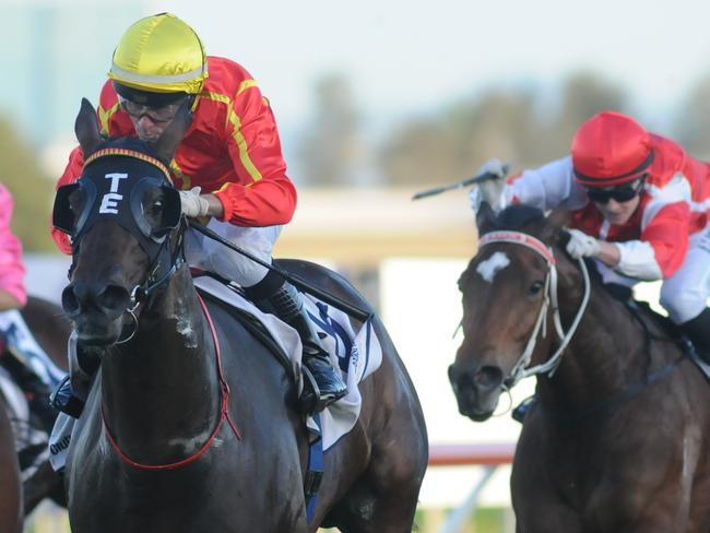 Jeff Lloyd extends his lead in the Brisbane metropolitan jockeys' premiership aboard Bound For Love at the Gold Coast on July 20. Pictures: Natasha Wood- Trackside Photography.