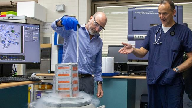 Dr Simon Apte, of University Queensland (left) who works in the lab at The Prince Charles Hospital, with Professor Dan Chambers, who performs whole lung lavages on silicosis patients at The Prince Charles Hospital in Brisbane. Photo: Supplied.