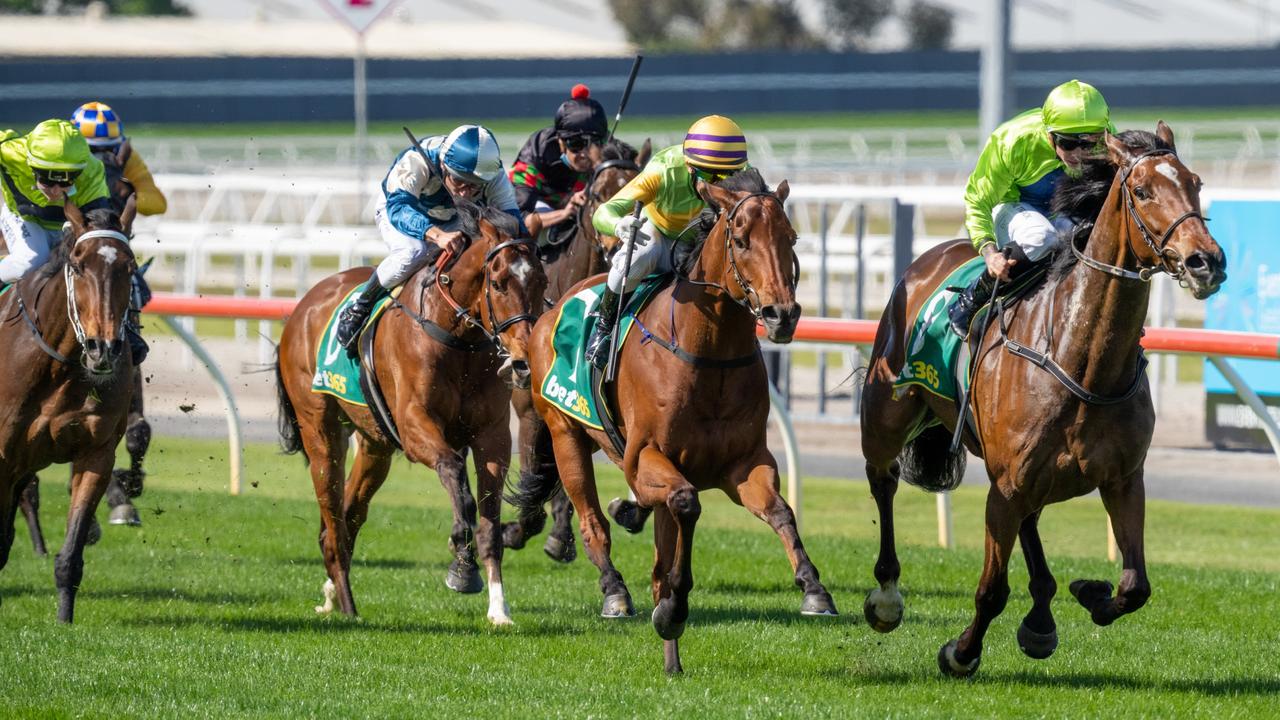 Tralee Rose is fresh off a win in Geelong. (Jay Town/Racing Photos via Getty Images)
