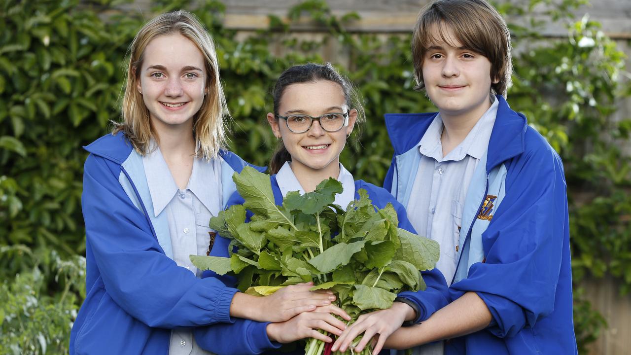 Redcliffe community garden: Redcliffe State High School students ...