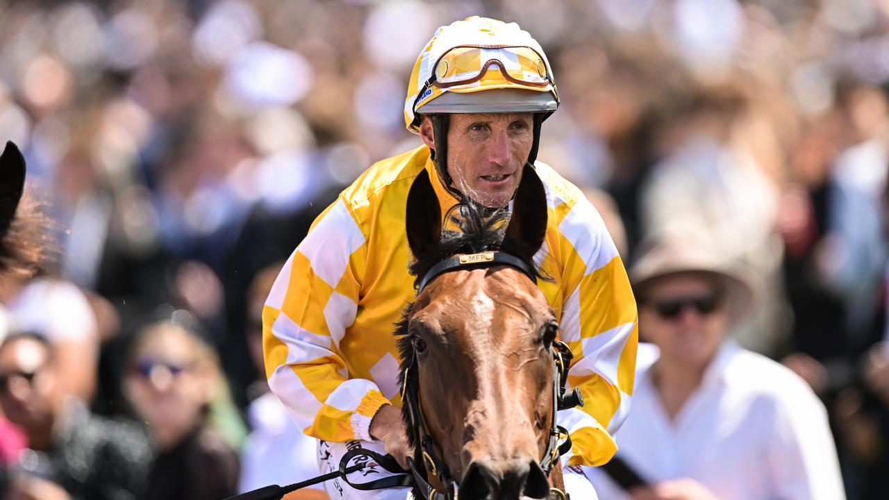 Alenquer’s injury has put Damien Oliver’s Melbourne Cup farewell in doubt. (Morgan Hancock/Racing Photos via Getty Images)