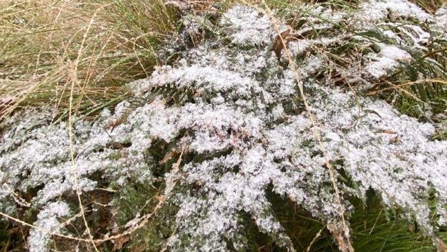 DUSTING OF SNOW: Tenterfield residents and visitors were thrilled to see a dusting of snow on nearby Mt Mackenzie after it started snowing around 4pm on June 10, 2021. Photo: Leah Osborne