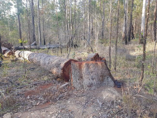 Collecting firewood from National Parks, state conservation areas and nature reserves is illegal.