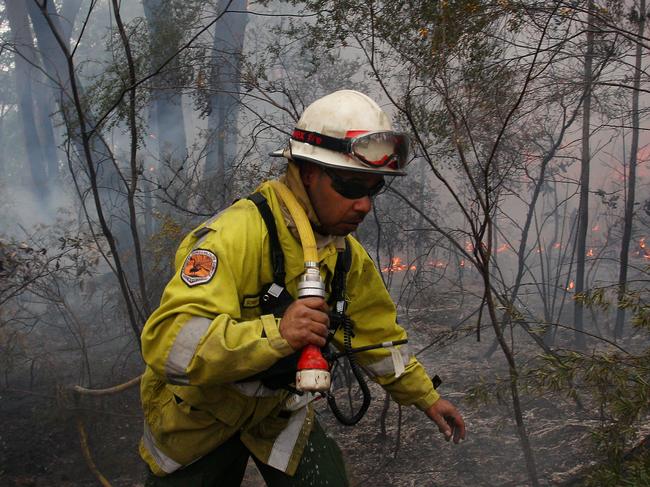 SYDNEY, AUSTRALIA - SEPTEMBER 04: Sonny Cromelin a Field Officer with NSW National Parks and Wildlife Service in Dubbo monitors a hazard reduction burn at Bowen Mountain a known koala habitat on September 04, 2020 in Sydney, Australia. A New South Wales parliamentary inquiry released in June 2020 has found that koalas will become extinct in the state before 2050 without urgent government intervention. Making 42 recommendations, the inquiry found that climate change is compounding the severity and impact of other threats, such as drought and bushfire, which is drastically impacting koala populations by affecting the quality of their food and habitat. The plight of the koala received global attention in the wake of Australia's devastating bushfire season which saw tens of thousands of animals killed around the country. While recent fires compounded the koala's loss of habitat, the future of the species in NSW is also threatened by continued logging, mining, land clearing, and urban development. Along with advising agencies work together to create a standard method for surveying koala populations, the inquiry also recommended setting aside protected habitat, the ruling out of further opening up of old-growth state forest for logging and the establishment of a well-resourced network of wildlife hospitals in key areas of the state staffed by suitably qualified personnel and veterinarians. The NSW Government has committed to a $44.7 million koala strategy, the largest financial commitment to protecting koalas in the state's history. (Photo by Lisa Maree Williams/Getty Images)