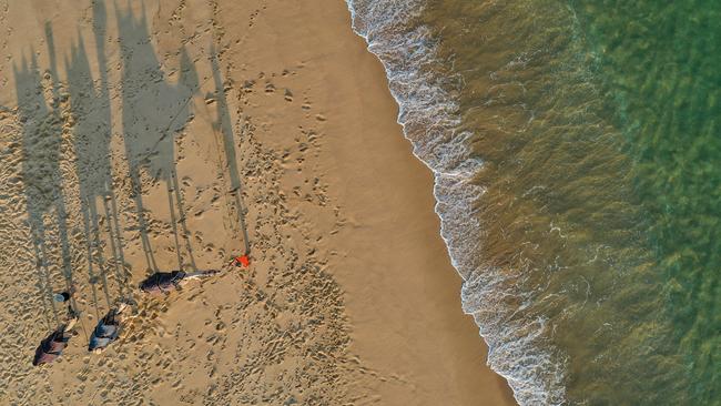 Go on a camel ride along 90 Mile Beach. Picture: Alex Coppel