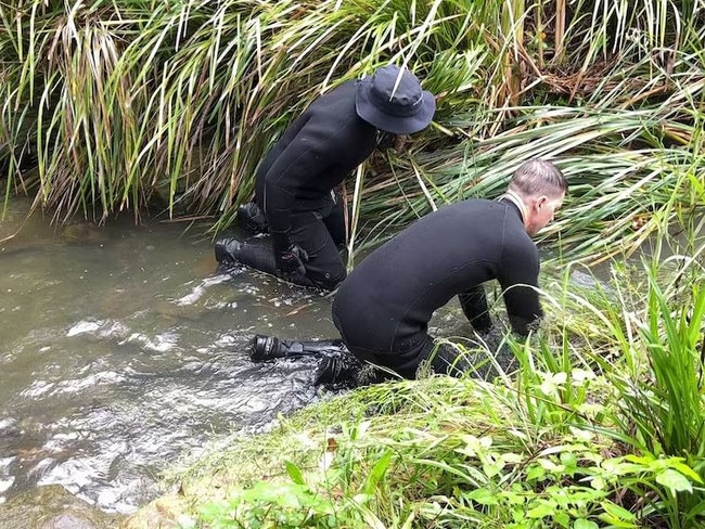 NSW Police divers search a waterway in Lambton, Newcastle.(ABC News)