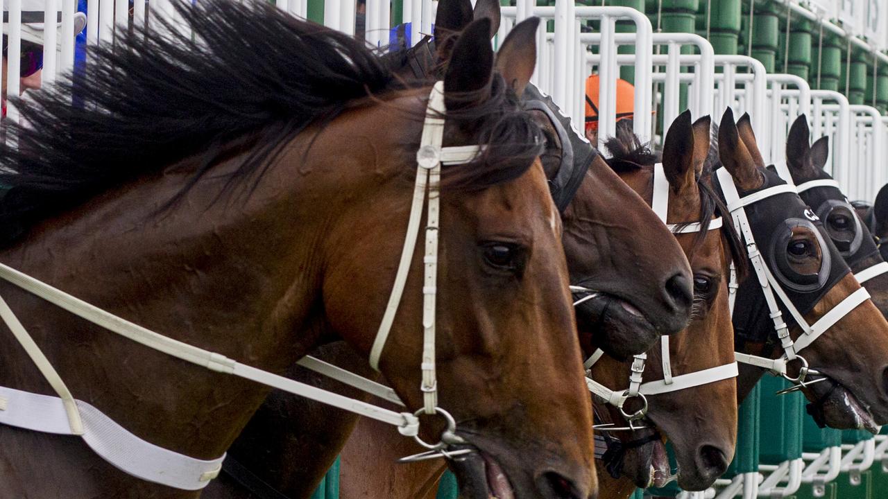 ROSEHILL RACES