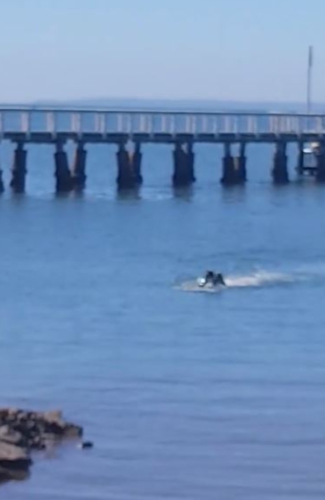 The flippers of a police diver can be seen as he goes to check if anyone is in the car. Picture: Robyn Shorter 