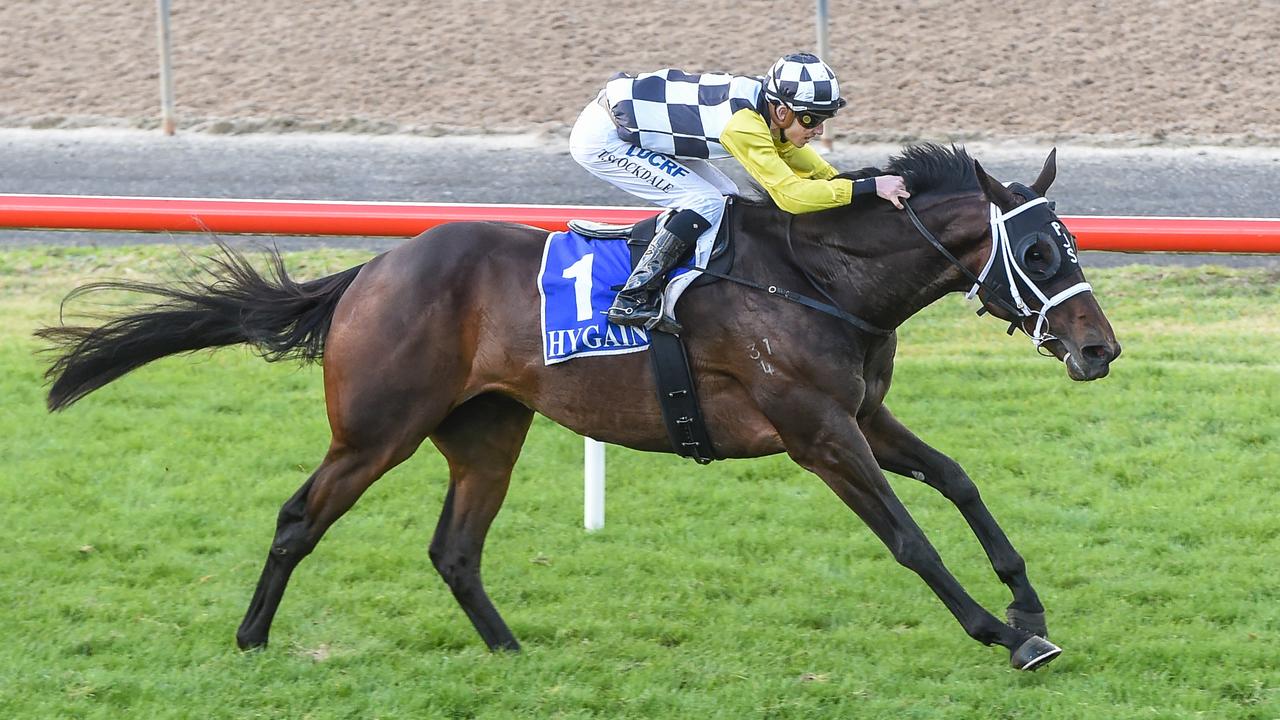 Local trainer Phillip Stokes will saddle Adelaide Cup winner Good Idea in Saturday's $300,000 Pakneham Cup (2500m). Picture : Racing Photos via Getty Images.