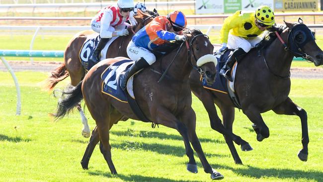 Grinzinger Pod ridden by Lachlan King wins the Dunlop Pitson & Jenkins Civil 2YO Maiden Plate at Bendigo Racecourse on May 22, 2024 in Bendigo, Australia. (Photo by Brett Holburt/Racing Photos via Getty Images)