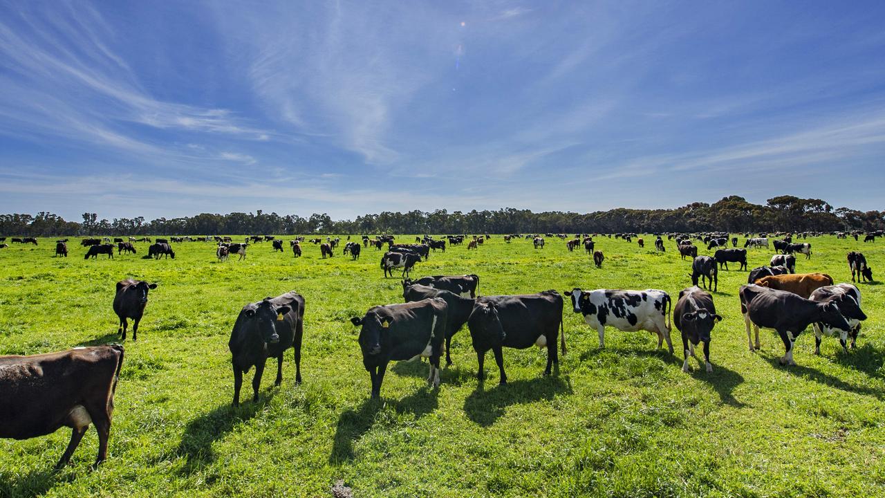 Food footprint: Australian food and fibre and the amount of land it ...