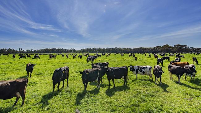 You’d be surprised just how much of the continent of Australia farming takes up. Picture: Zoe Phillips