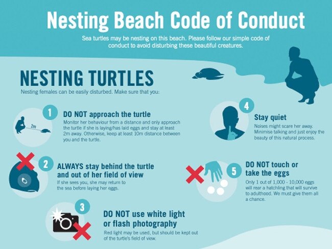 Nesting Beach Code of Conduct. Picture: Supplied.