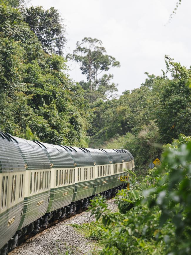 The train snakes through the jungle. Picture: Elise Hassey.