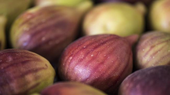 Fig season is upon us. Picture: Zoe Phillips