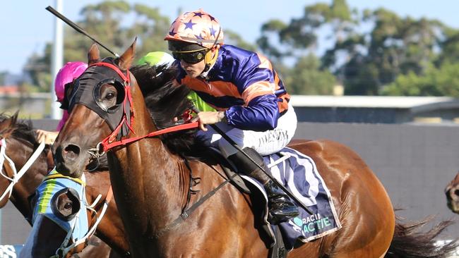Brutality is backing up from his fourth on last week's Festival Stakes. Picture: Grant Guy