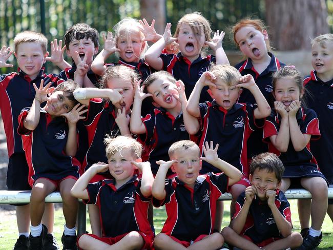 My First Year - Kindy class KZ pictured at Lake Munmorah Public School..pic Sue Graham