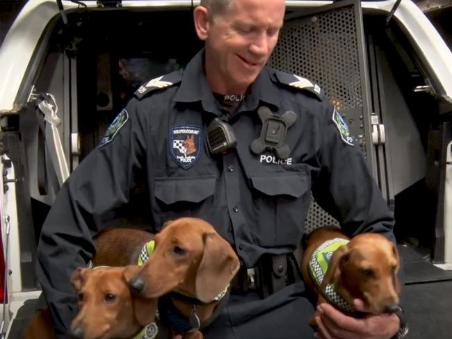 Tex, Snoop and Gracie are deployed and ready for action from today, April 1.