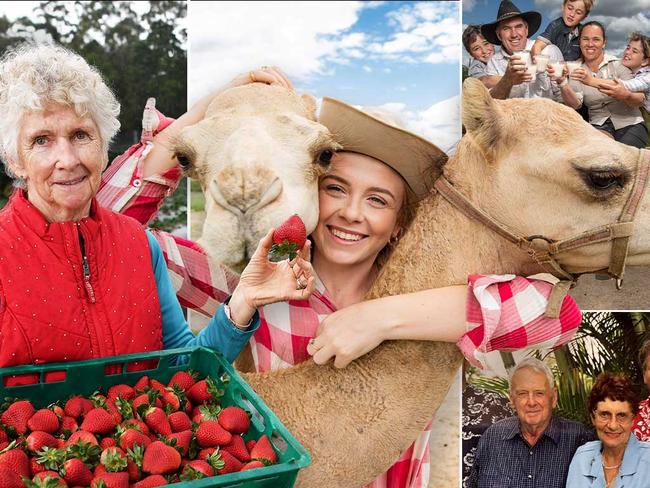 As one long-standing growing family calls time on its sugar cane production, others reveal what lies behind some of the Sunshine Coastâs most recognisable brands.