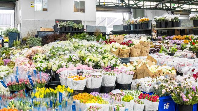 The Sydney Flower Markets, Homebush. Picture: NewsWire / Monique Harmer