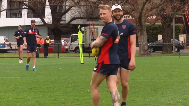 Lewis sees a bit of Hawks in AFL Demons