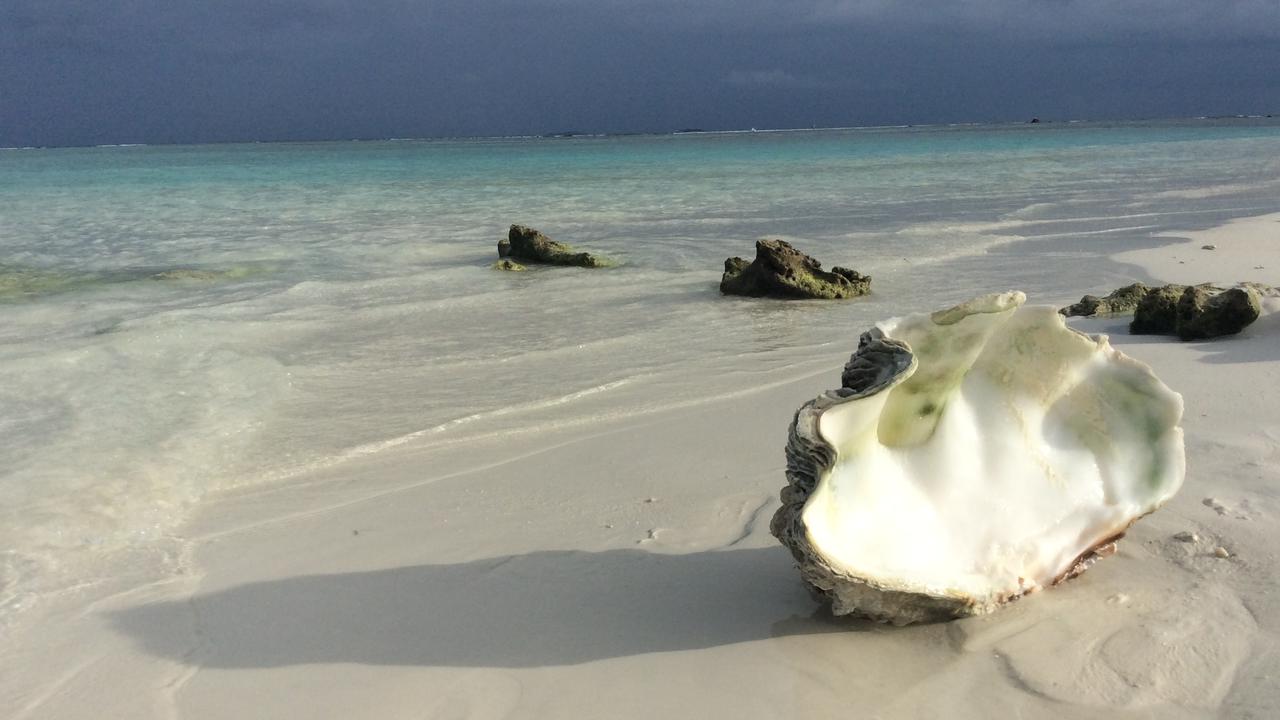 Ms Anderson would do day trips with locals to different islands during her two-week stay.