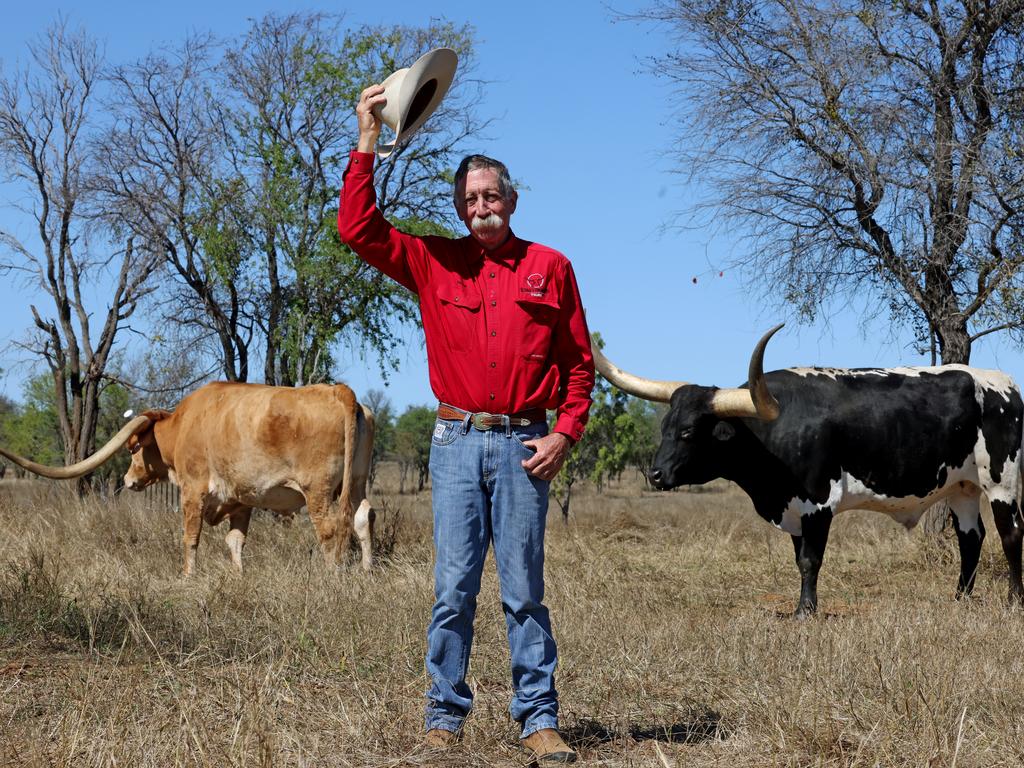 Mick Bethel with some of his Texas Longhorns. Picture: Toby Zerna