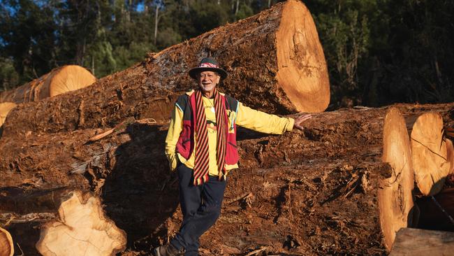 Elder Pakana Plangermairreenner Jim Everett was arrested today for protecting his country in a forest protest at the Styx Valley of the Giants