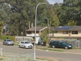 Picture of Collitt Crescent, Cranebrook where police are investigating a home invasion where a man was stabbed. Source: Google Maps