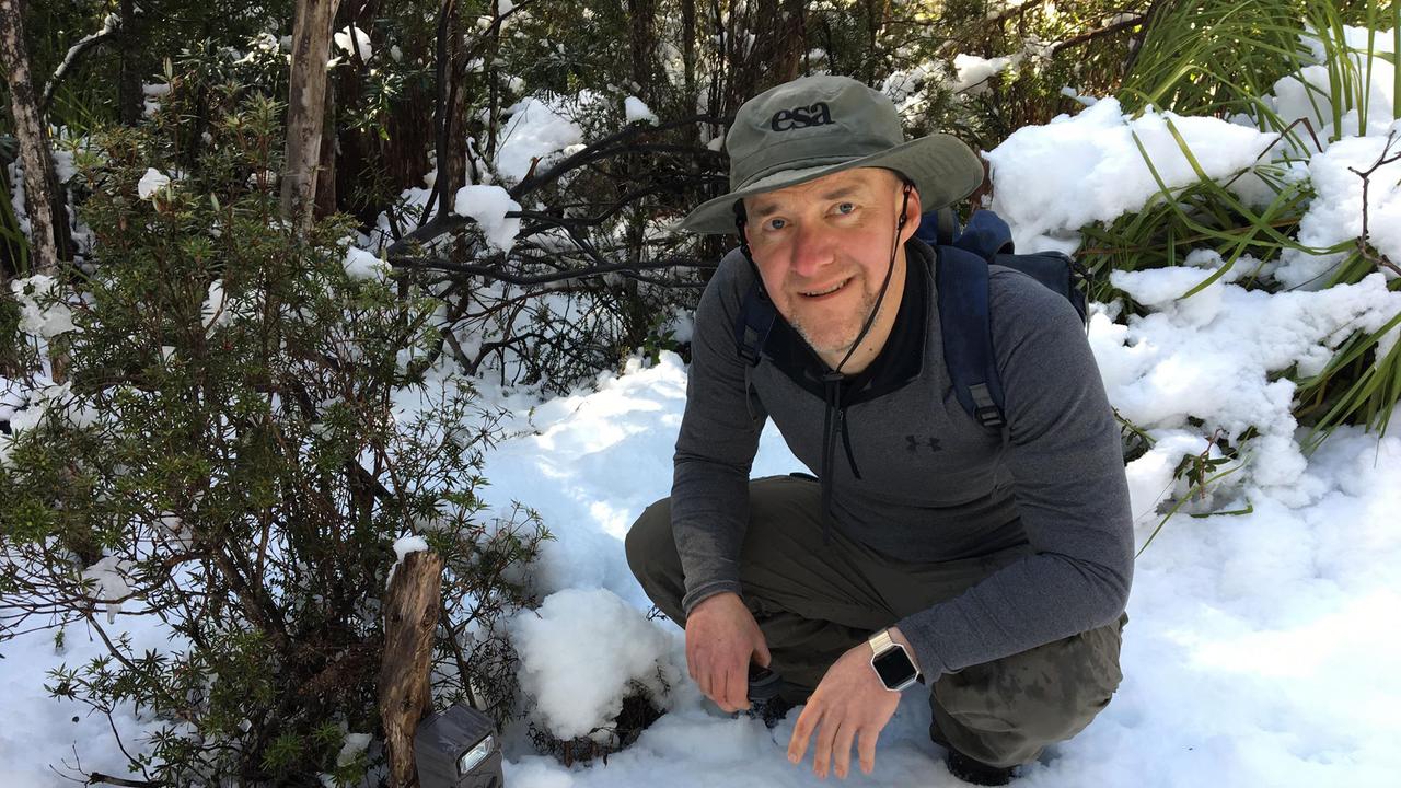 Professor Barry Brook checks on a camera trap in the snow. Researchers at the University of Tasmania have designed and deployed an innovative network of camera traps across the state to monitor our threatened wildlife and track invasive species such as feral cats. Picture: supplied