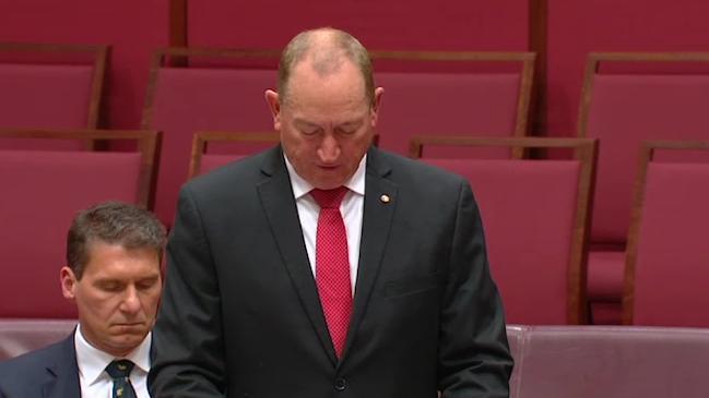 ‘Final solution’ to immigration problem is popular vote: Anning’s maiden Senate speech