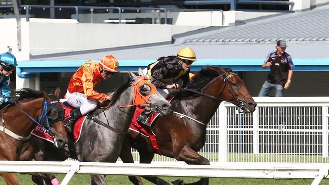 Barwon, ridden by Bonnie Thomson, wins Race 5 at Cannon Park, watched by only a handful of trainers. The general public are not permitted to attend horse races due to the government restrictions in place to reduce the spread of coronavirus. PICTURE: BRENDAN RADKE.