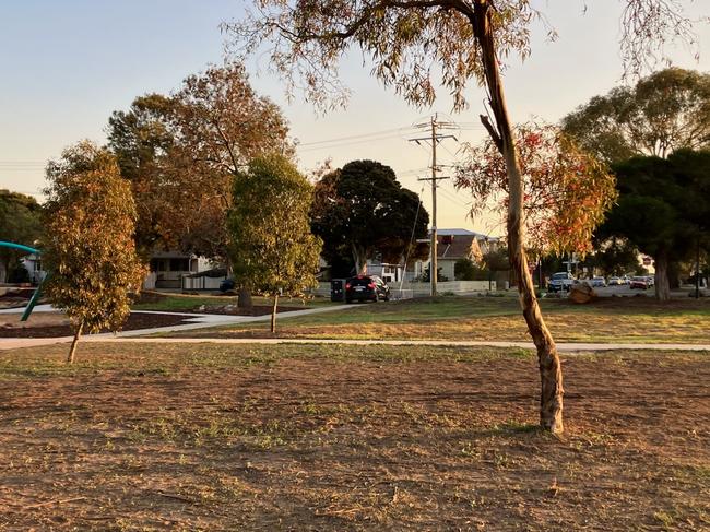 The late-model Renault going rogue through Leo Hoffman Reserve.
