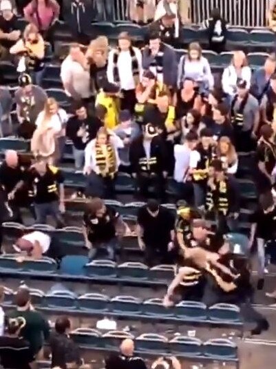 Shocked families and footy fans witnessed the brawl.