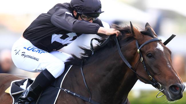 Ecuador will carry Gai Waterhouse’s hopes of winning a record eighth Doncaster Mile. Picture: Jenny Evans
