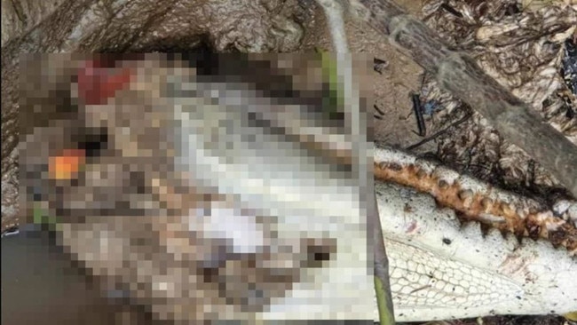 The crocodile was found beheaded on the banks of the river. Picture: Supplied