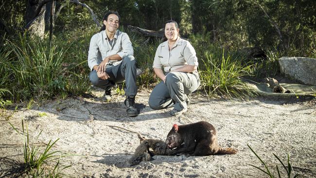 Tasmanian devil expert Dominick Del Vecchio and Saffire guiding manager Chella Armstrong have been tasked with looking after the four Tasmanian devils that live permanently at Federal Hotel's Saffire accommodation at Coles Bay. Picture: LUKE BOWDEN