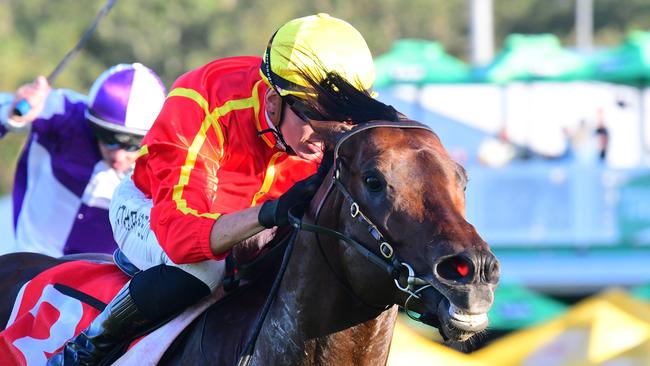 Nettuno scored a dominant win in the Swiss Ace Plate. Picture: Grant Peters/Trackside Photography