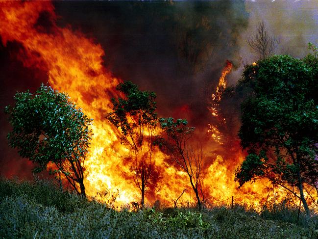 (PIC: Higher resolution image from negs)Bushfire fire near Clare, SA 25 Apr 1994./Bushfires/SA