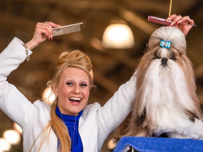 Rachel Davies spruces up six-year-old Shih tzu Chucky at the Royal Melbourne Show. Picture: Jason Edwards