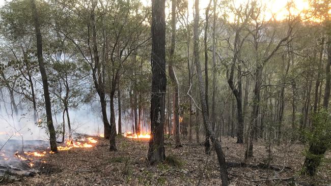 Fire continues to rage in the Gold Coast hinterland.