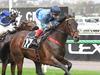 ‘Massive for us’: Ecstatic trainers secure Melbourne Cup ticket