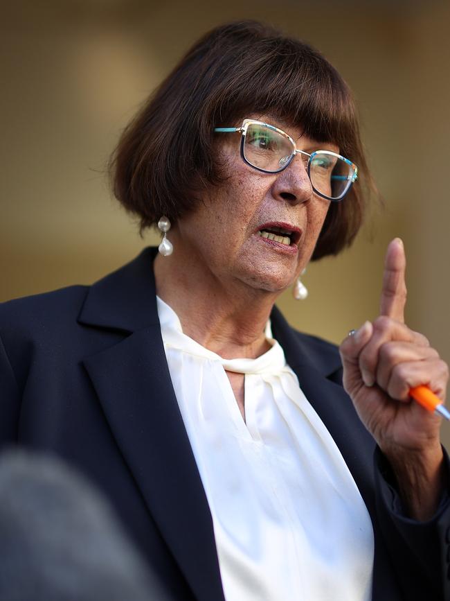 Pat Turner during a press conference in Parliament House in Canberra. Picture: NCA NewsWire/Gary Ramage