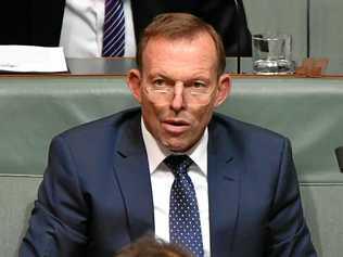 The Liberals seem to be taking a tack that if they ignore former prime minister Tony Abbott (pictured last month during Question Time in Canberra) eventually he will sit silently. Picture: MICK TSIKAS