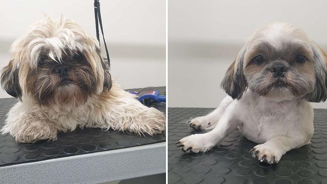 Rebeka Walton has more than 15 years' experience as a pet groomer. Photo: Rebeka Walton