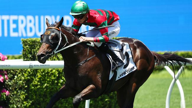 Rivellino is the favourite for the Inglis Millennium. Picture: Jeremy Ng/Getty Images