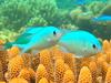 $2m funding pledge for Cairns Aquarium research centre