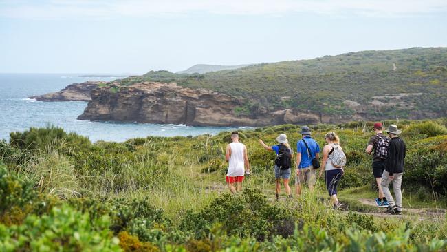 The walks will highlight native plants and wildlife and local history. Picture: Supplied.