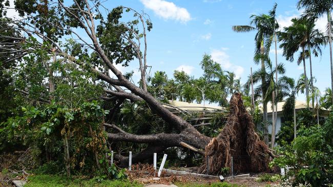 green-waste-pick-ups-commence-eight-days-after-cyclone-marcus-news